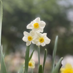 Meet your Posher, Ariana